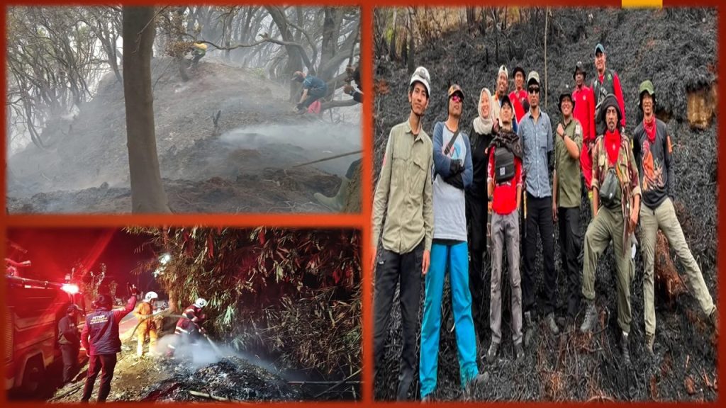 DOKUMENTASI RELAWAN RIMBA Dan BPBD JAWA BARAT