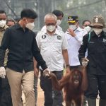 wapres-gibran-mengunjungi-fasilitas-rehabilitasi-orangutan-di-kalimantan-foto-setwapres-1789089774077_169