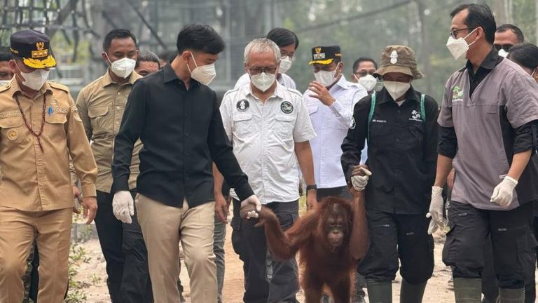 wapres-gibran-mengunjungi-fasilitas-rehabilitasi-orangutan-di-kalimantan-foto-setwapres-1789089774077_169