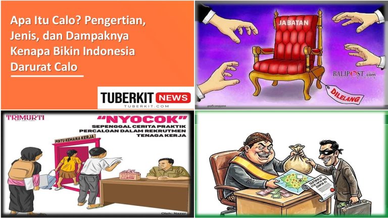 PowerPoint Infographics Samplerbddb